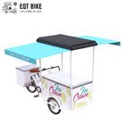 Груз трицикла велосипеда мороженого EQT для велосипеда велосипеда замораживателя продажи дела улицы электрического для холодных напитков
